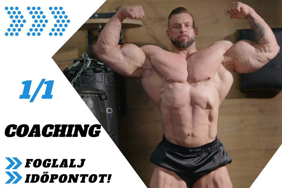 1/1 Online -Coaching