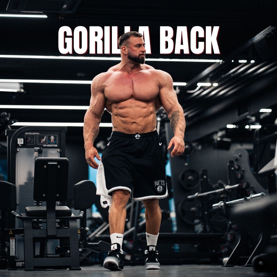 Gorilla Back